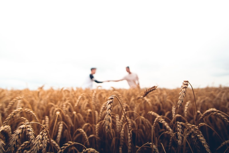 Serviço de Pulverização Agrícola (por hectare)